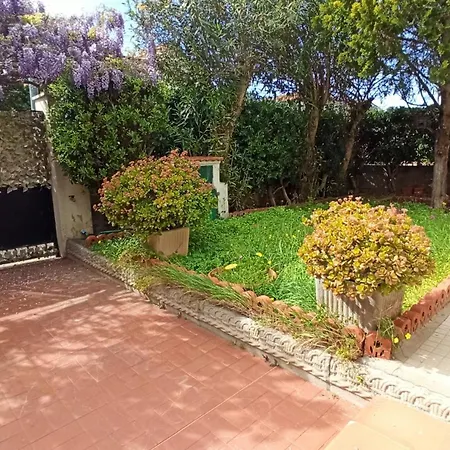Apartment Seagarden